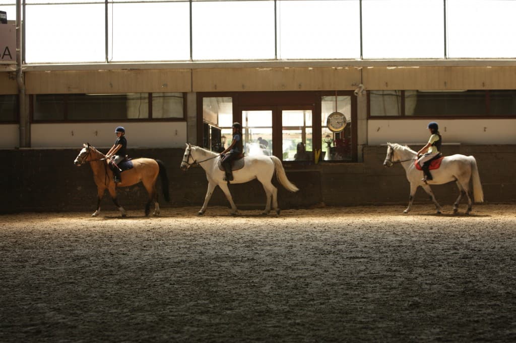 Le manège intérieur