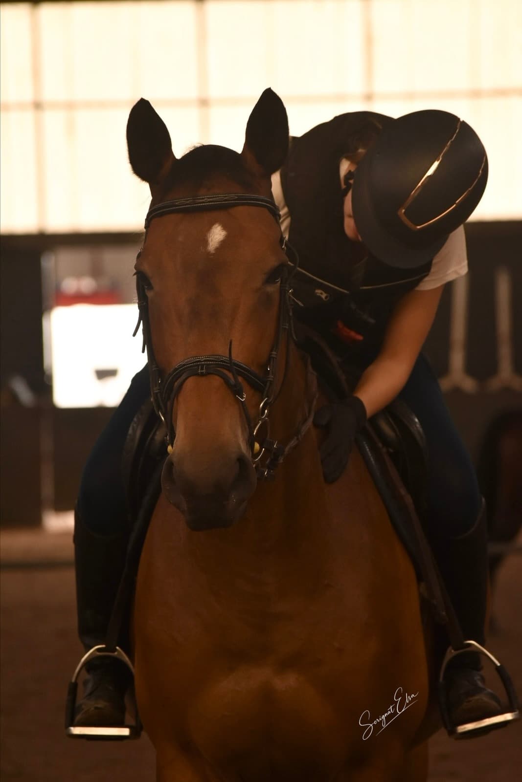 École d'équitation - Photo 1