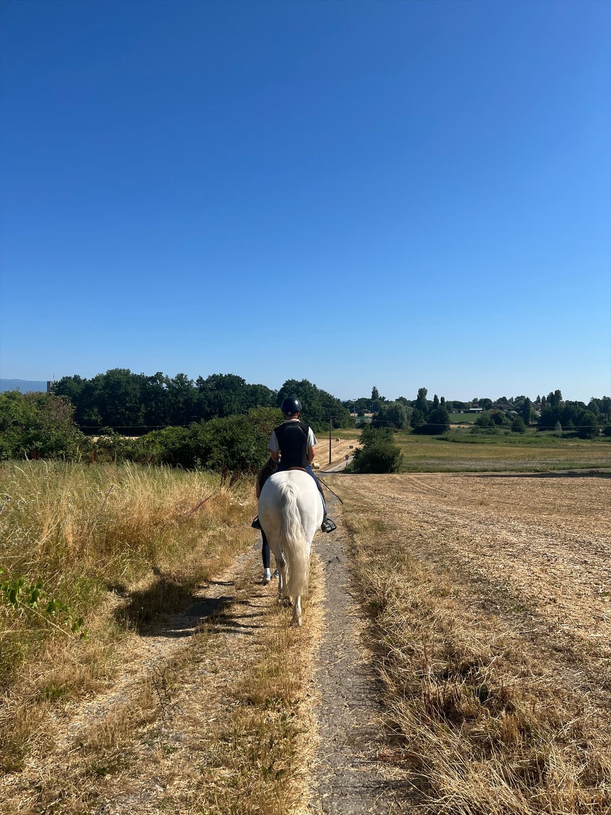 Cavaliers et chevaux à la Pallanterie