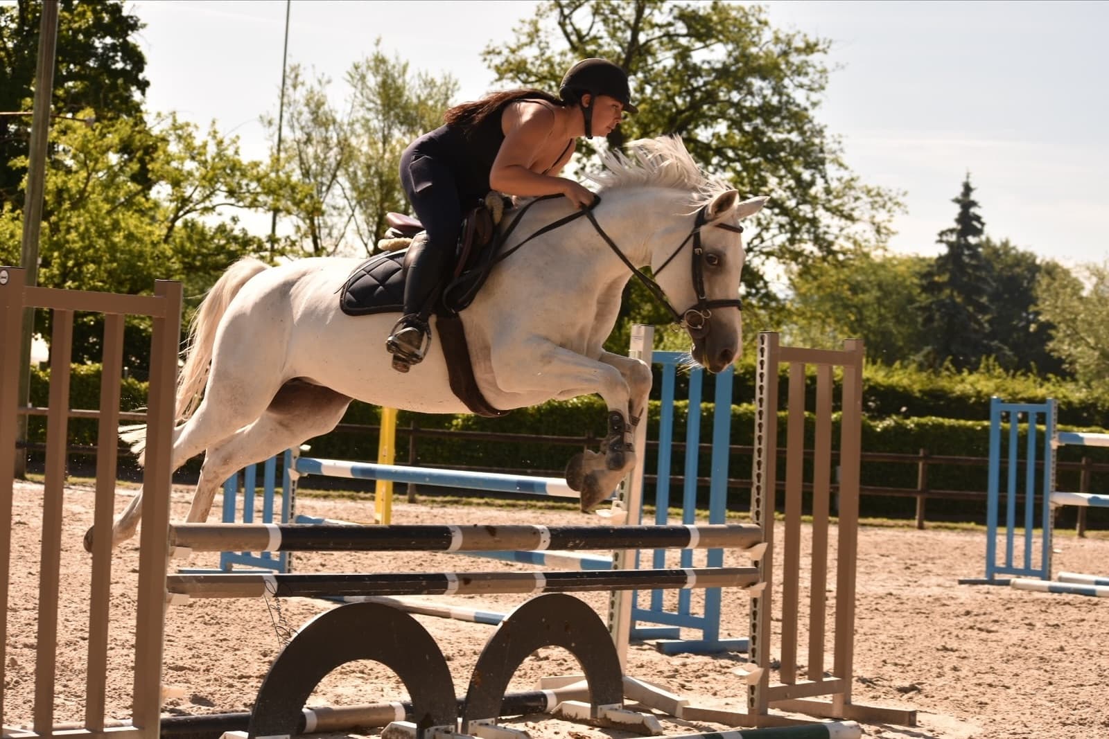 Cavalière dans la carrière extérieure